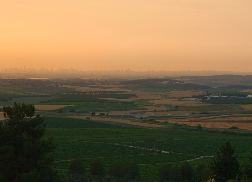 sunset over landscape