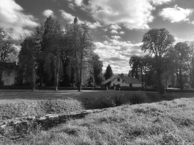 rural house among trees - b&w rural house among trees - b&w