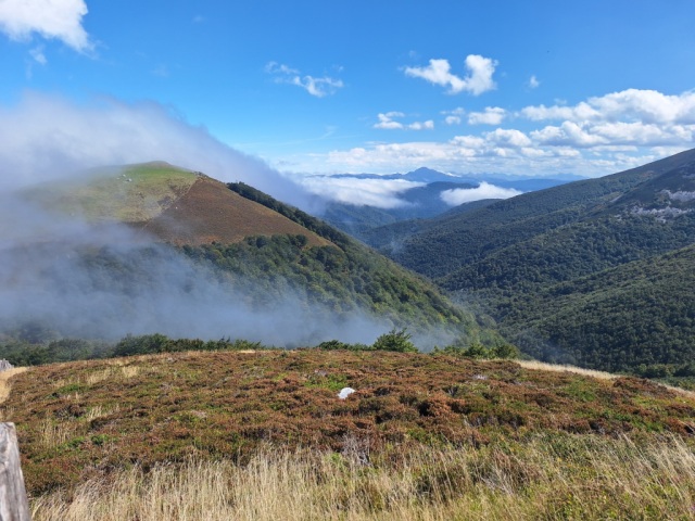 20250915_140311(1).jpg Looking South across wooden hillsides half shrouded in cloud.